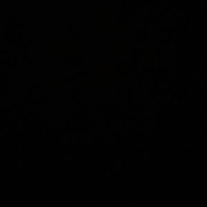 Meet your Posher, Audrey